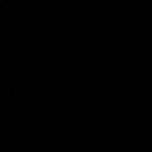 Meet your Posher, Rionne